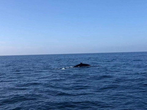 Ocean Explorers-美蕊沙必去景点