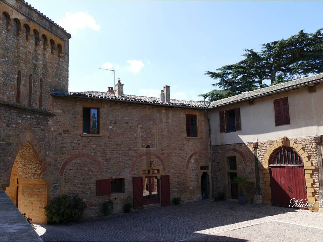 Chateau de Montmelas景点图片