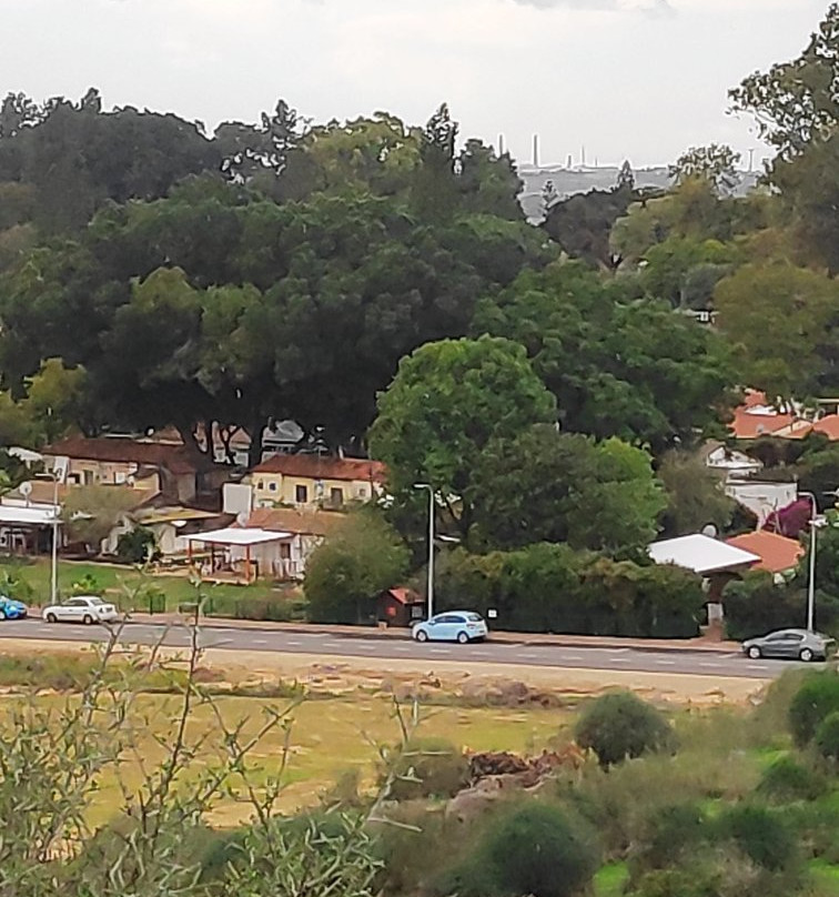 Bilu Center Outlet-Kiryat Ekron必去景点