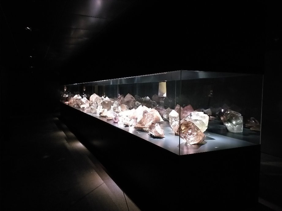 Museum of Natural History of Bern景点图片