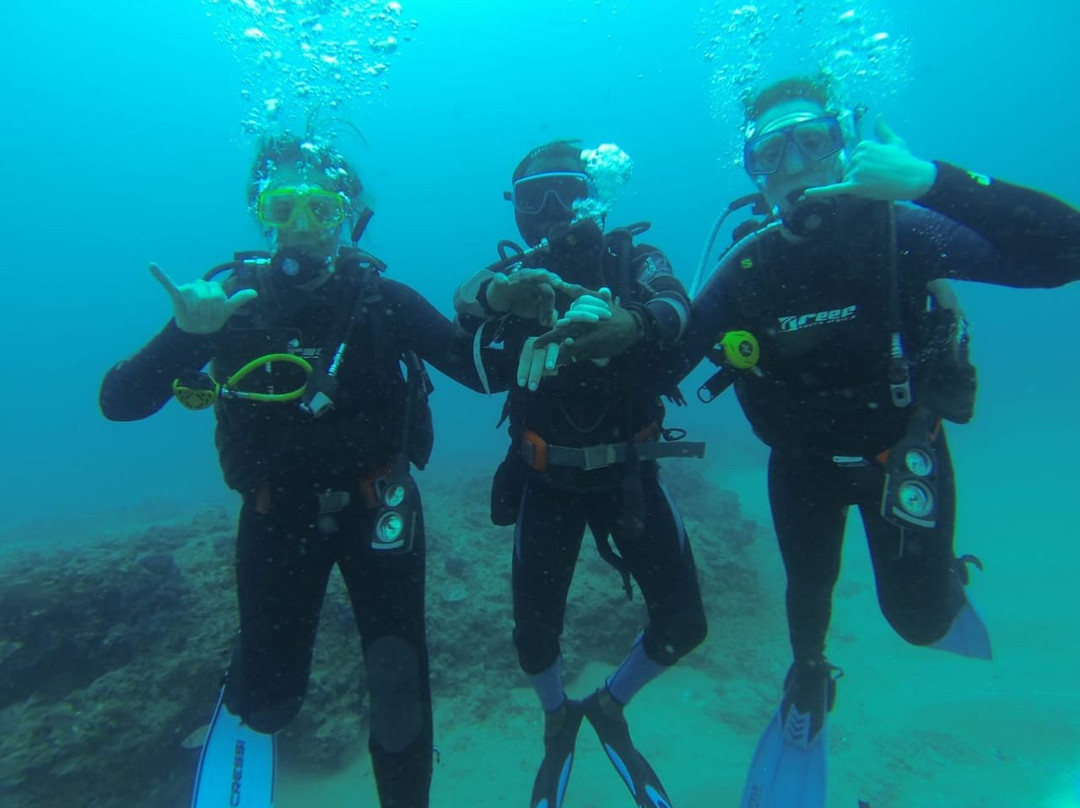 Underwater Explorers景点图片