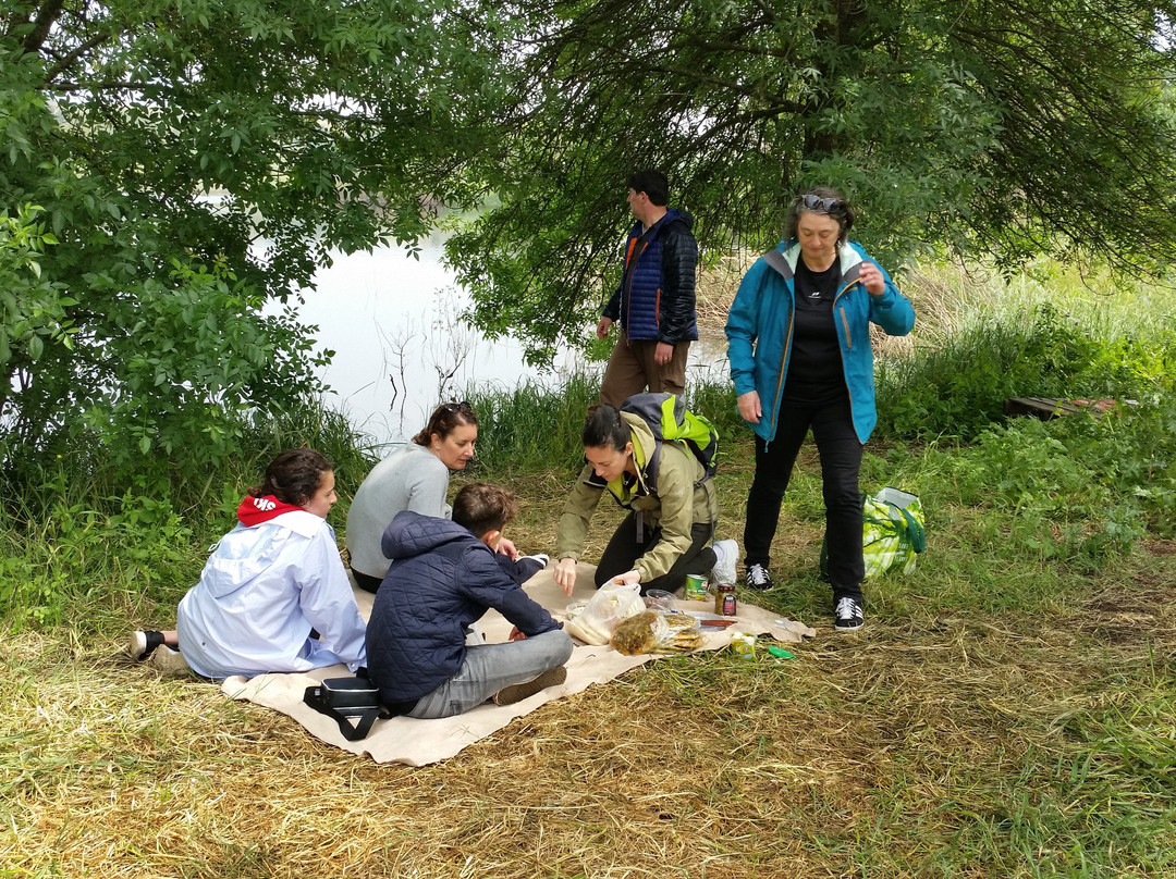 Go Bike Israel-特拉维夫必去景点