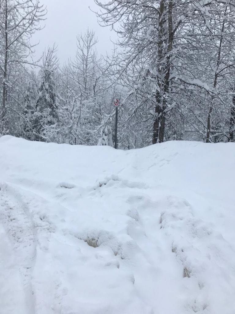 Holiday Inn Express Golden-Kicking Horse-酒店景观