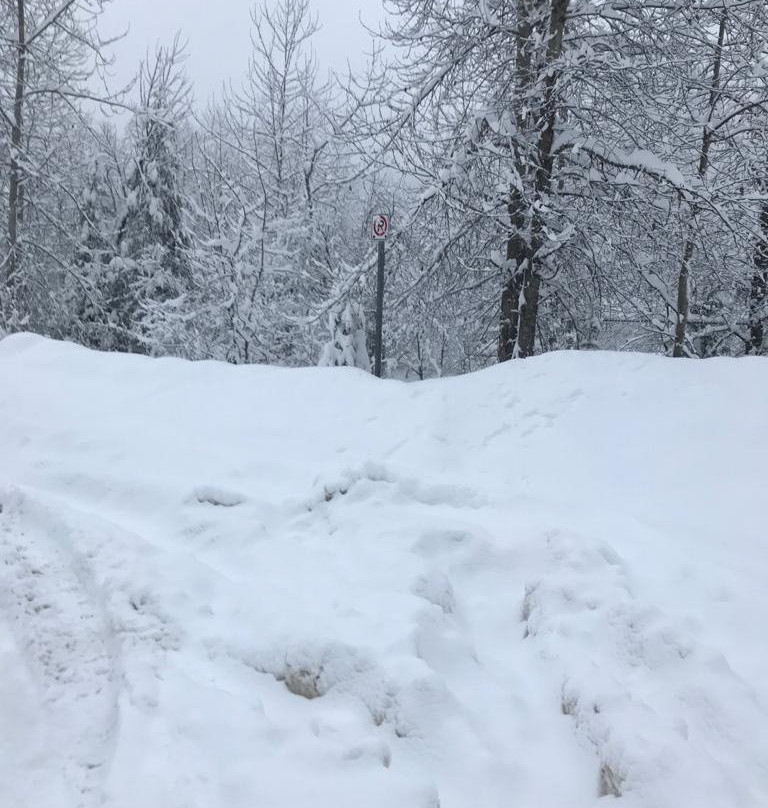 Holiday Inn Express Golden-Kicking Horse主图