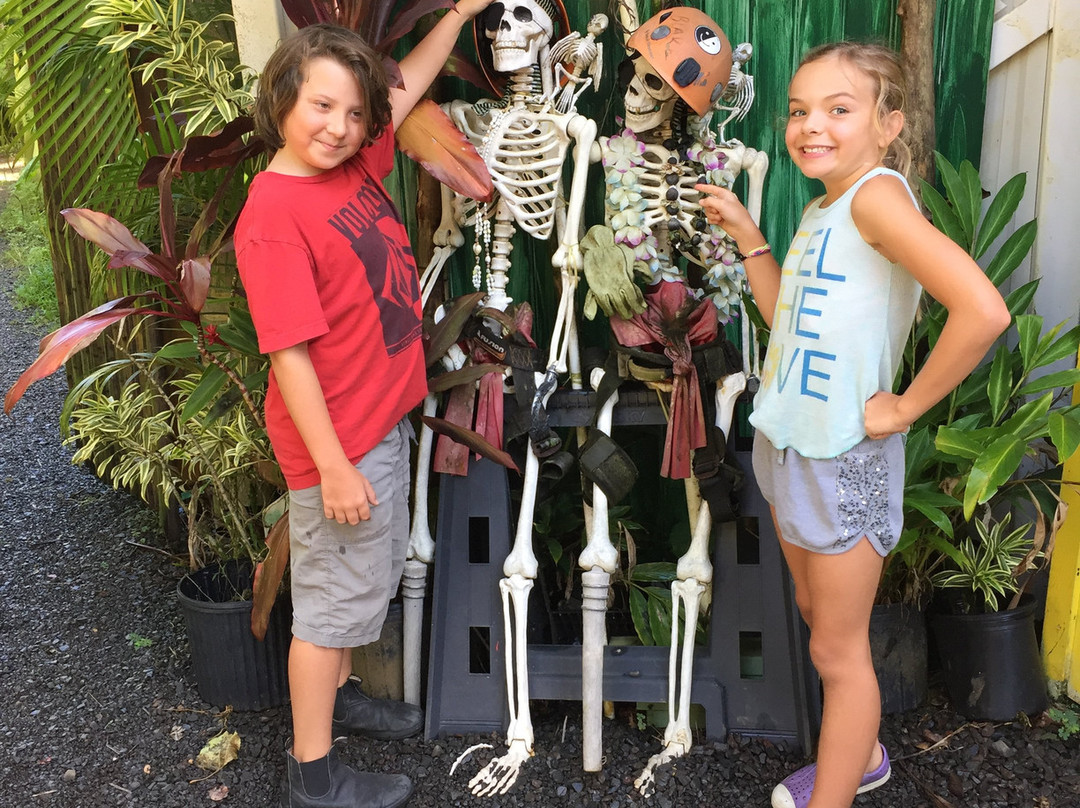 Jungle Zipline Maui-海库必去景点