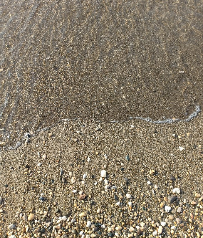 Looc Garden Beach Resort主图