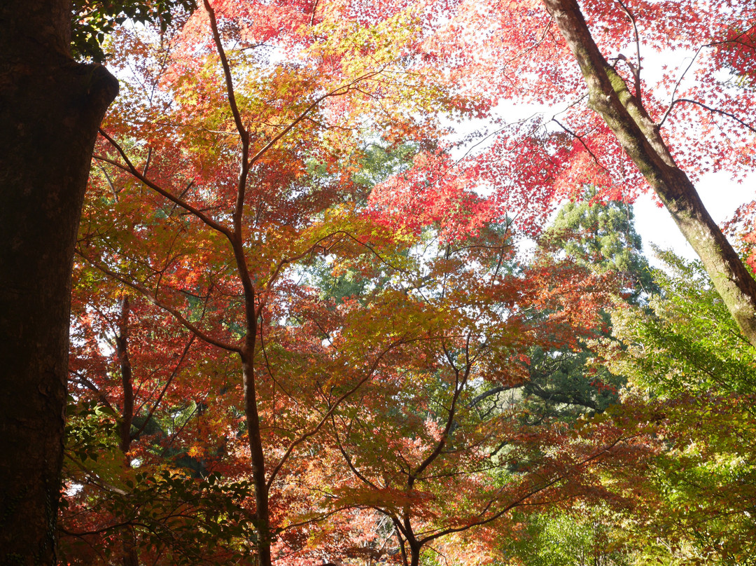 Niiyama Shrine-神埼市必去景点
