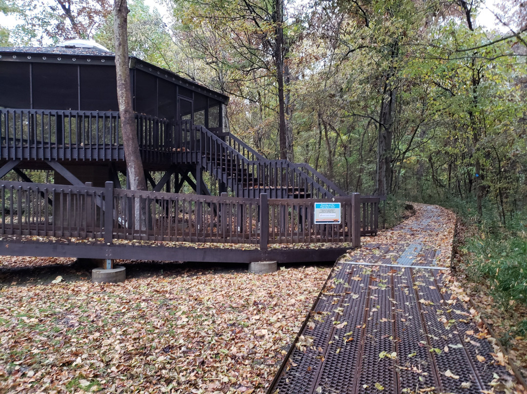 Big Oak Tree State Park-East Prairie必去景点