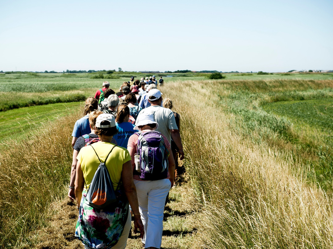 The Marsh Trail景点图片
