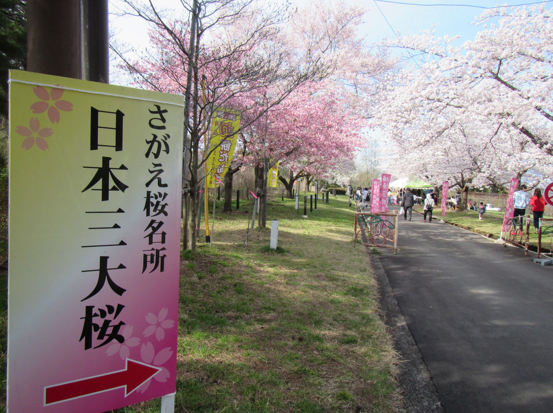 Sagae Park-寒河江市必去景点
