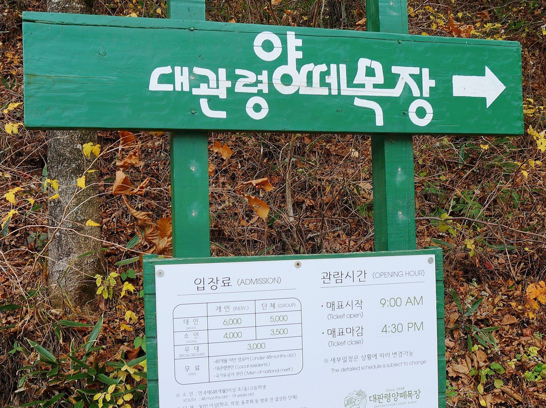 Daegwanryeong Yangtte Ranch-平昌郡必去景点