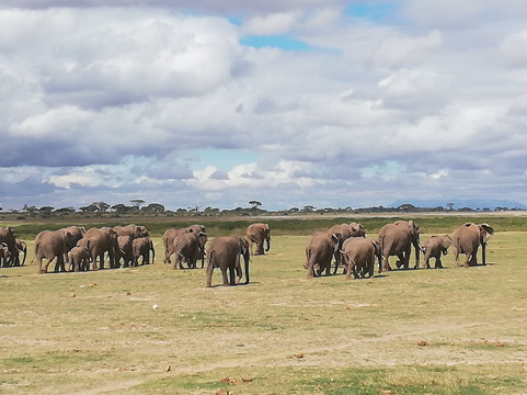 Adventure Mara Tours-蒙巴萨必去景点
