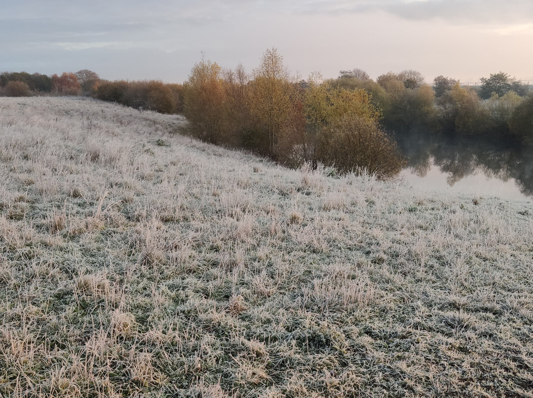 Molesey Heath Nature Reserve景点图片