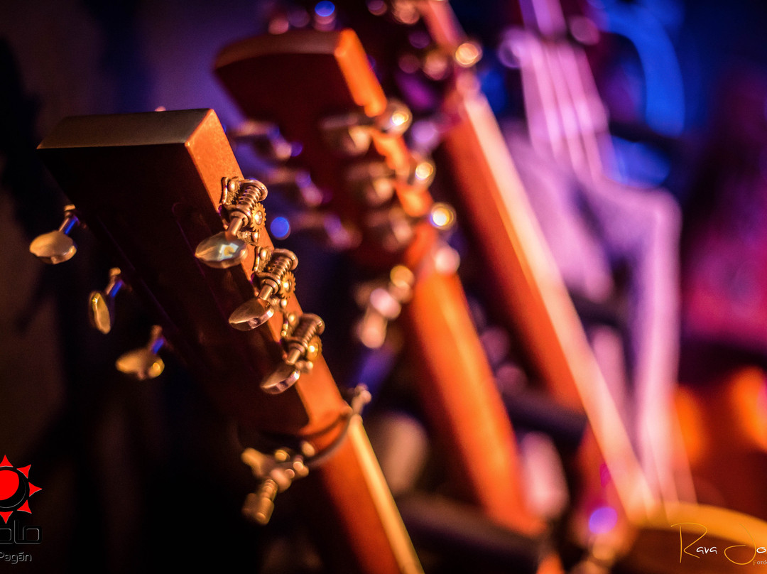 Idolo Lounge Bar-Lo Pagán必去景点