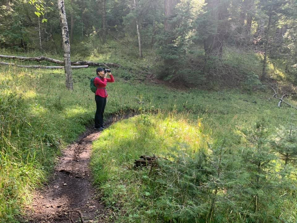 Spur Landing Real Estate & Lodging主图