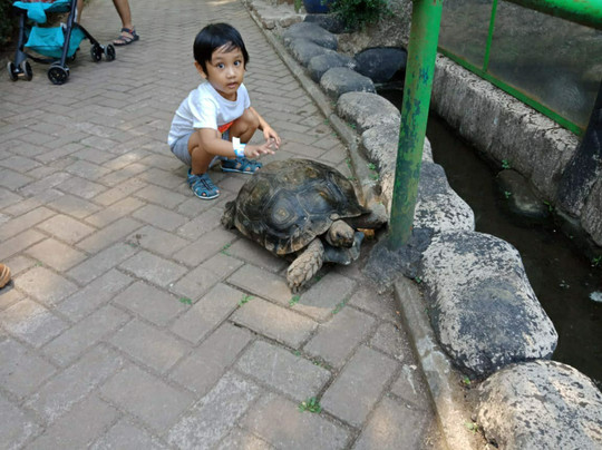 Bandung Zoo-万隆必去景点