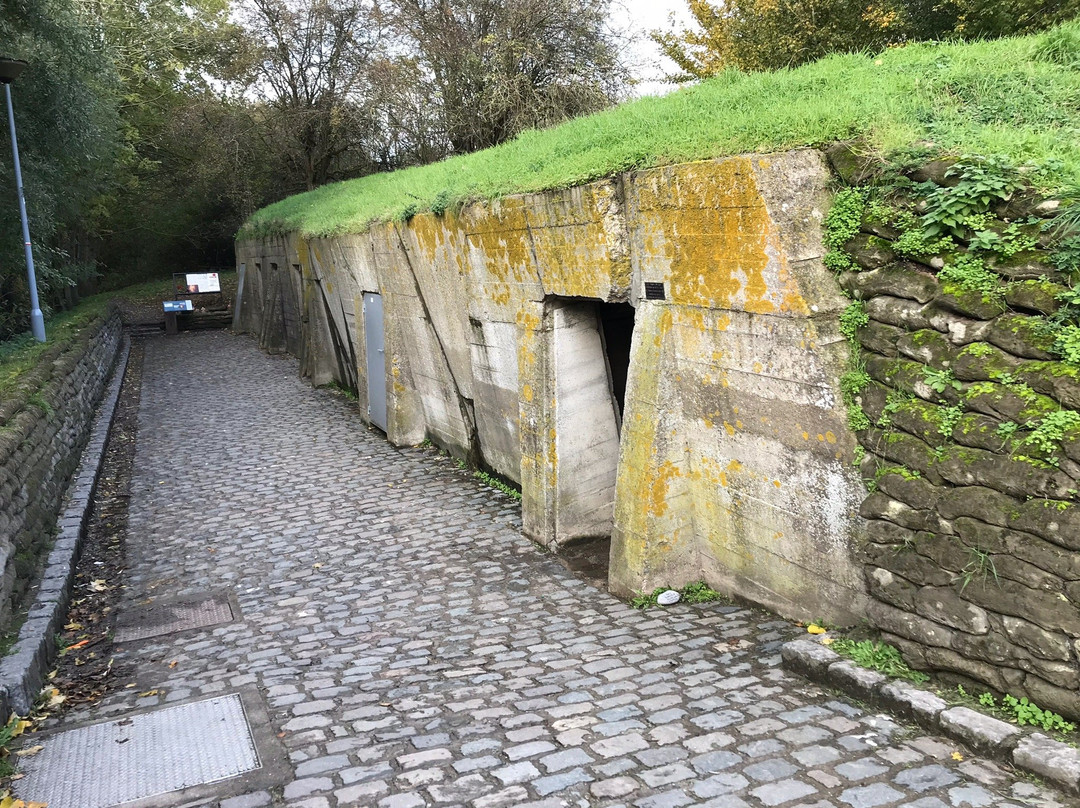 Frontline Tours-伊普尔必去景点