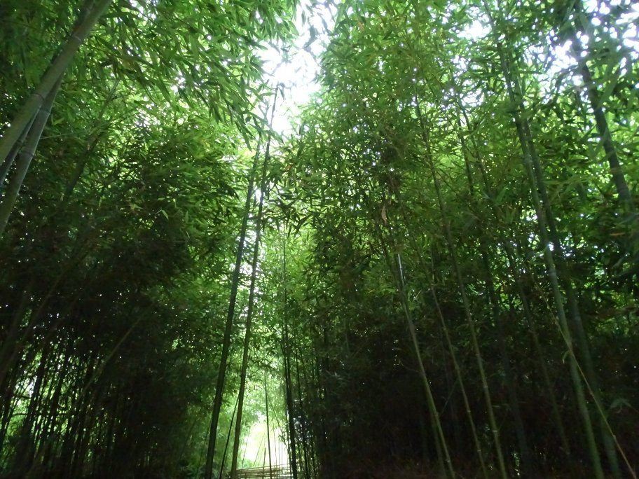 Ramsar's palace-朗姆萨尔必去景点
