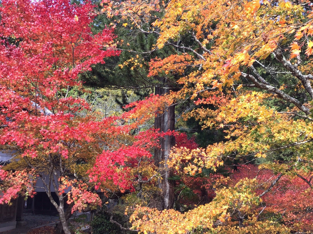Ryuonji Temple-南丹市必去景点