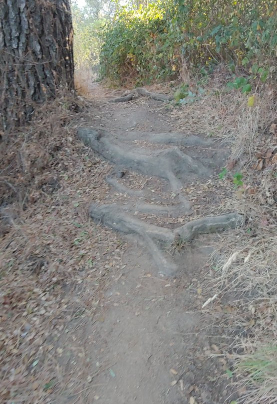 Folsom Lake State Recreation Area-佛森必去景点