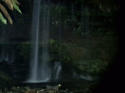 Mt Field National Park Campground主图