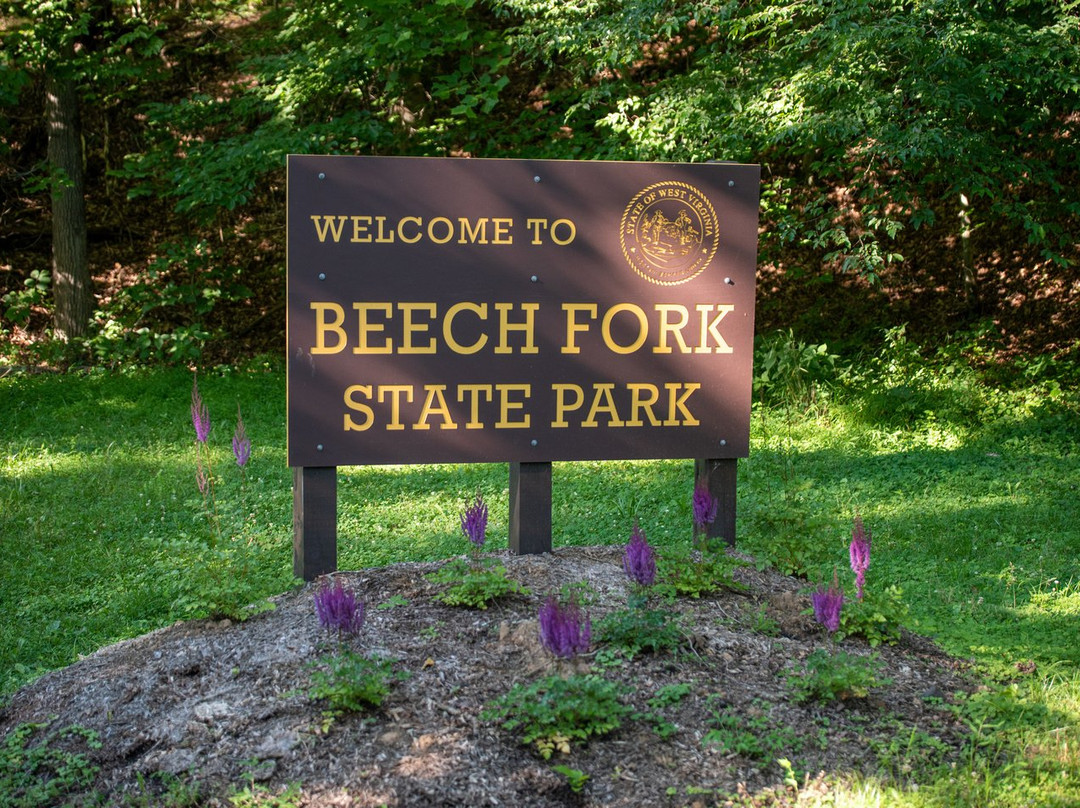 Beech Fork State Park景点图片