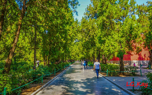 北京太庙-北京市必去景点