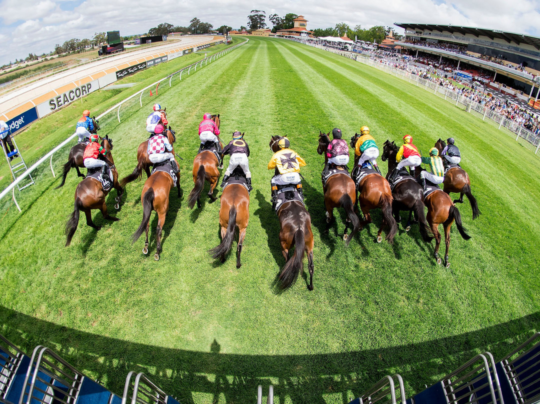 Ascot Racecourse景点图片