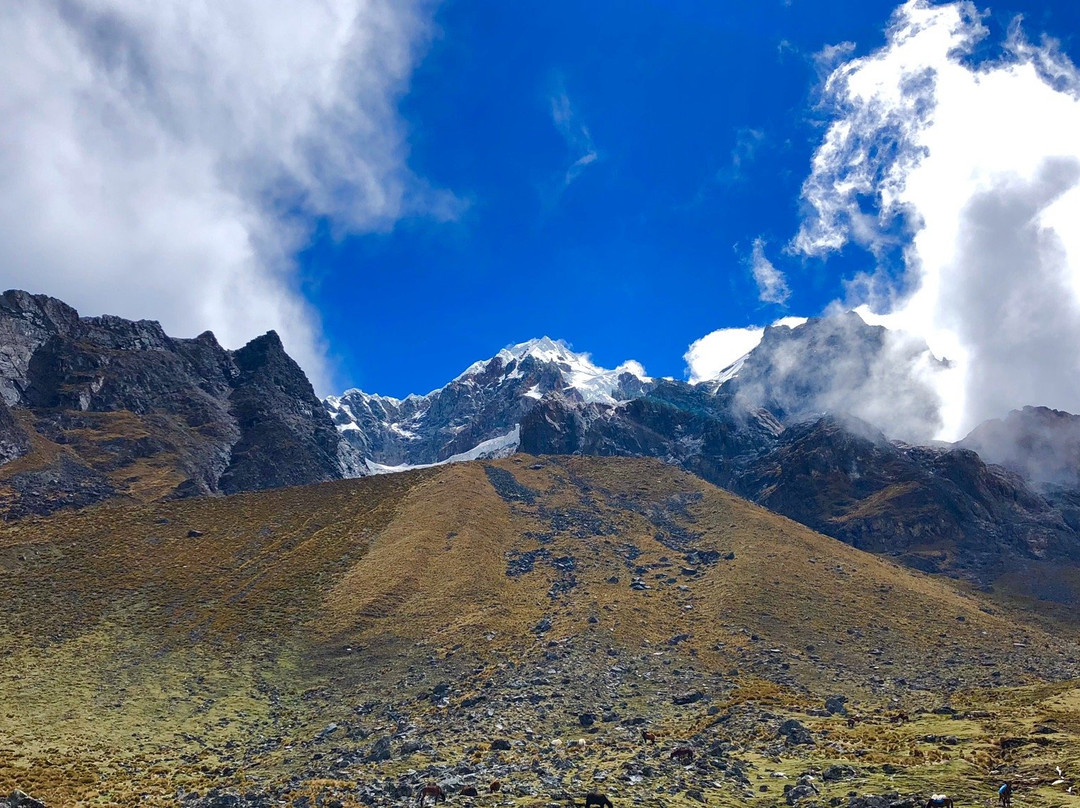 Apus Peru景点图片
