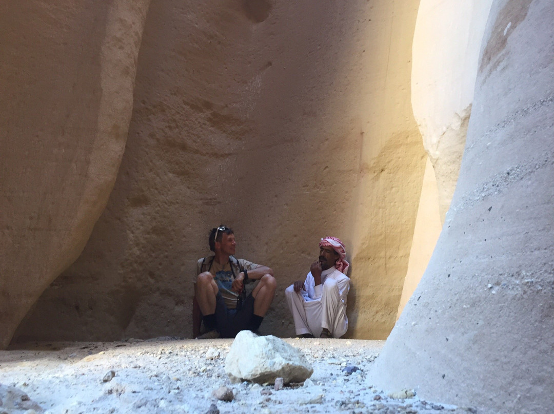 Sinai Safari - Day Tours景点图片