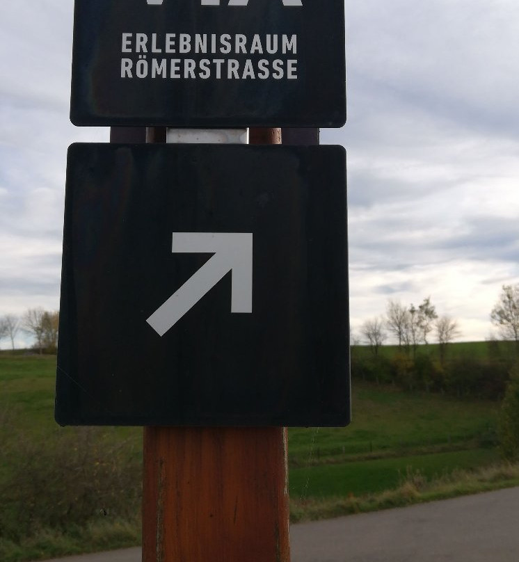 Naturzentrum Eifel景点图片