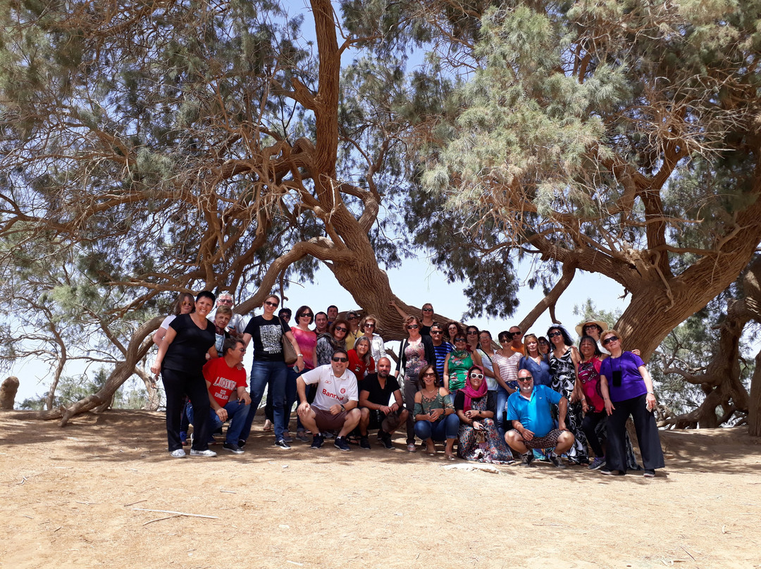 Moses Springs-雷斯苏勒必去景点