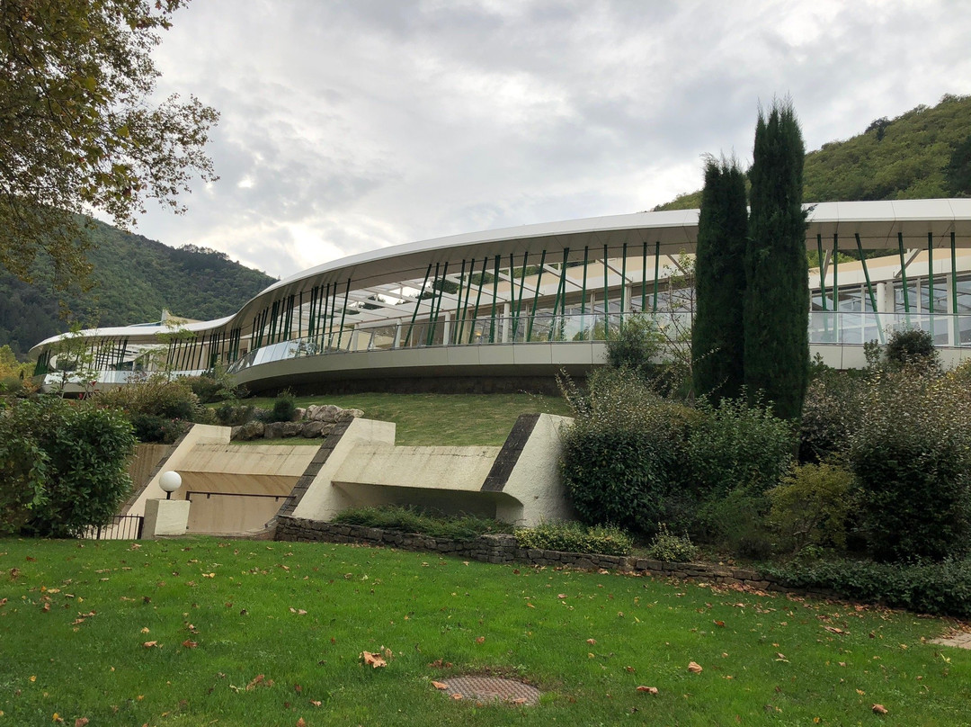 Eau Thermale Avène L'hôtel主图