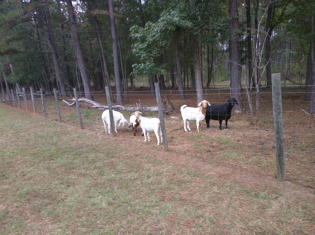 Dauset Trails-Jackson必去景点