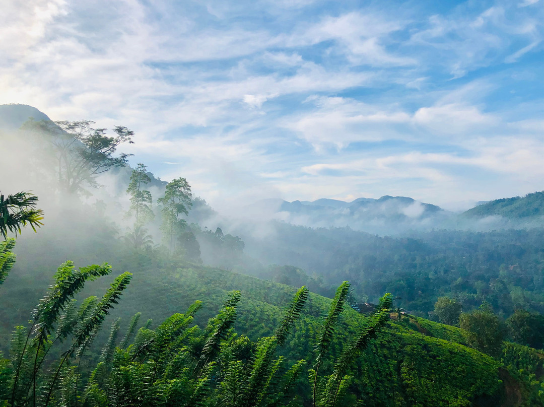 Nest Wood Bungalow主图