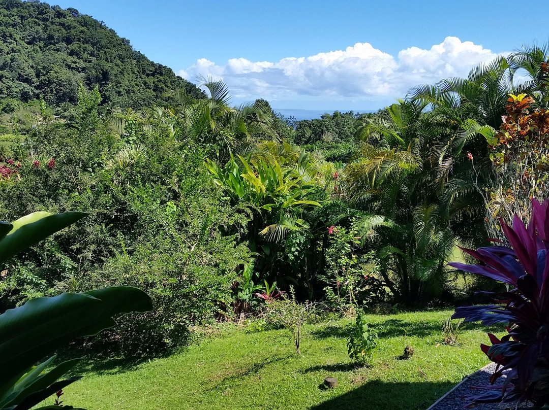 Le Jardin de la Rencontre