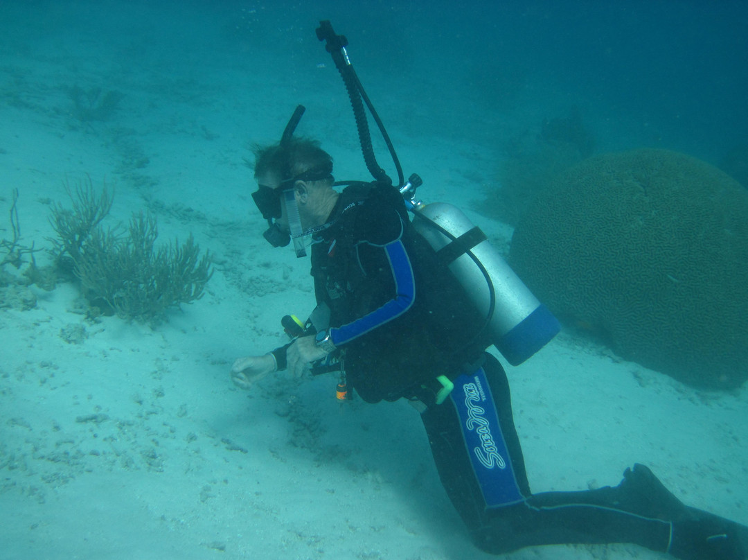 Diver's Request景点图片