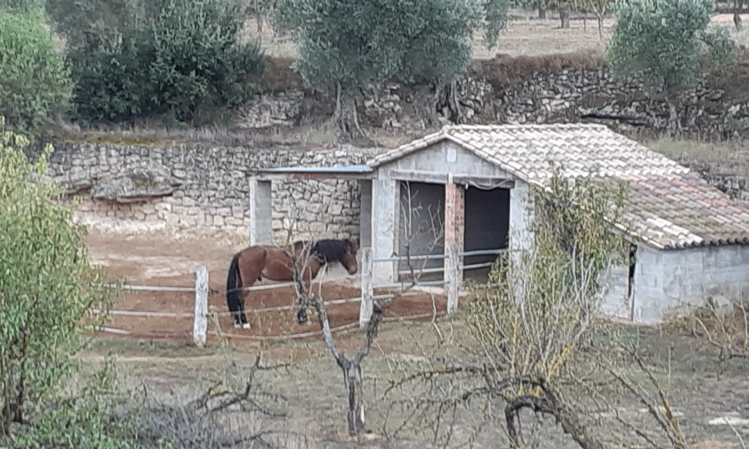 Arenys de Lledo旅游攻略图片