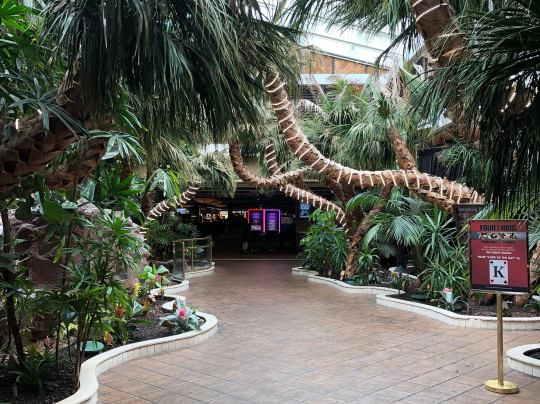 Golden Nugget Laughlin主图