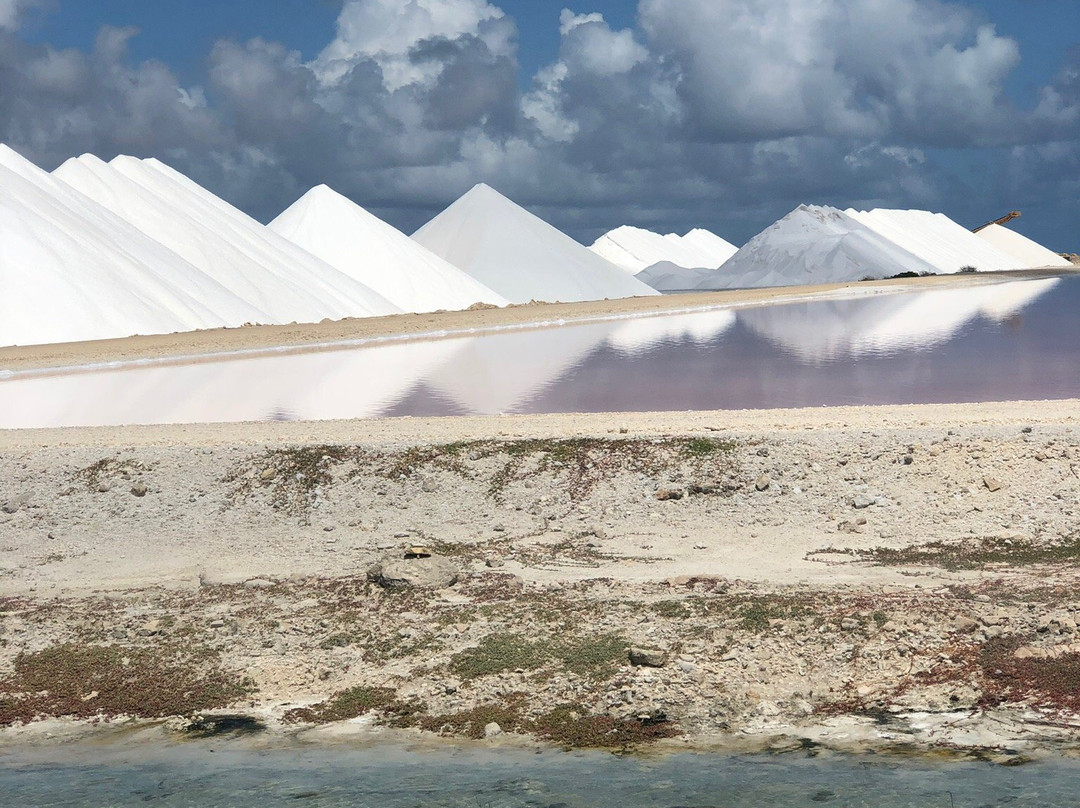 Bonaire Tours & Vacations-Kralendijk必去景点