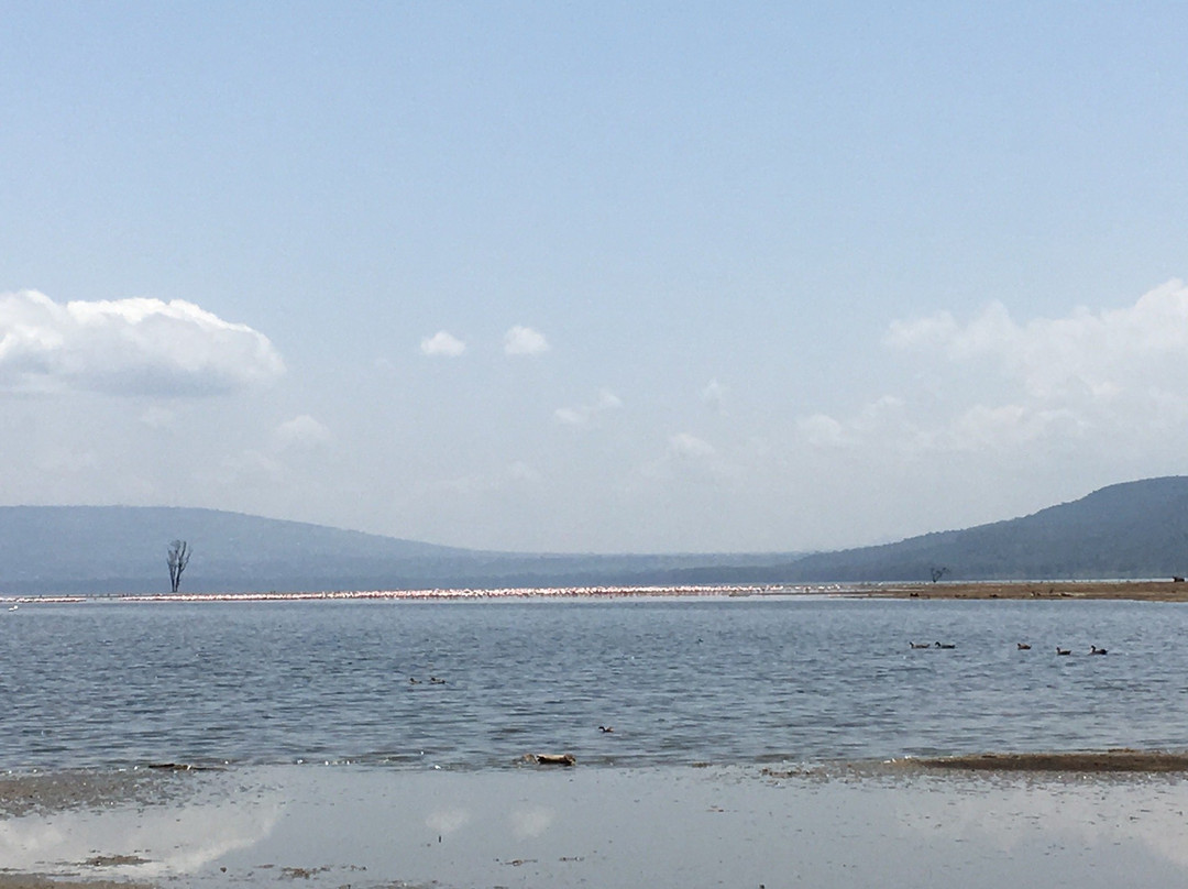Lake Nakuru景点图片