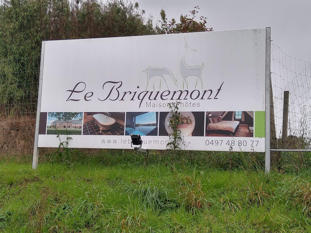 Le Briquemont主图