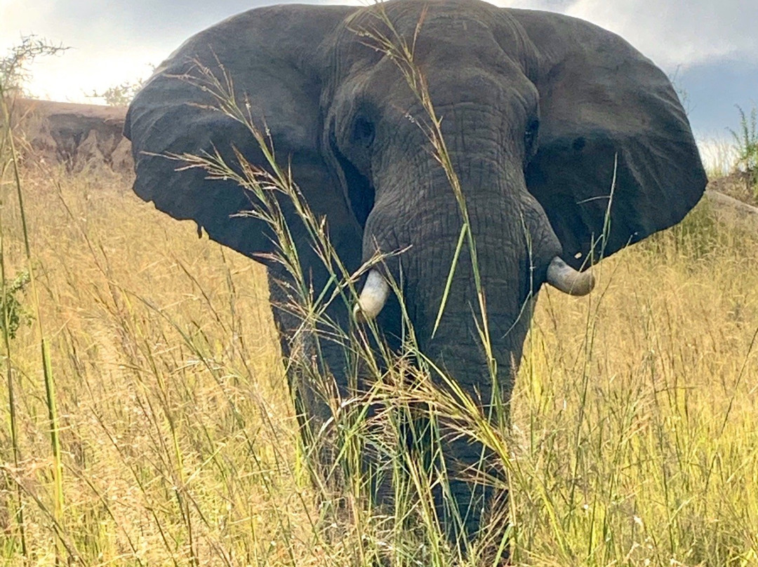 Love Uganda Safaris-坎帕拉必去景点