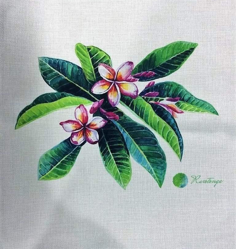 Tivaevae Collectables-拉罗汤加必去景点