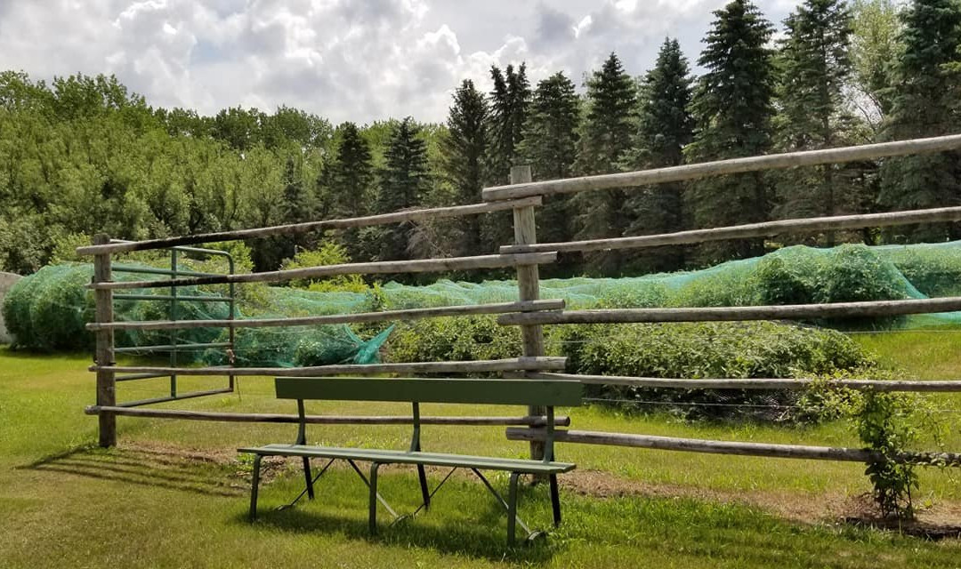 Dakota Sun Gardens & Winery景点图片