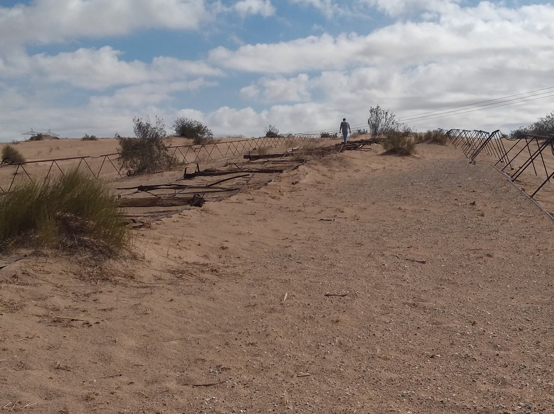 Imperial Sand Dunes-Niland必去景点