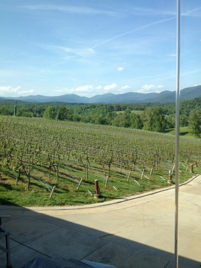 BlackStock Vineyards and Winery-达洛尼加必去景点