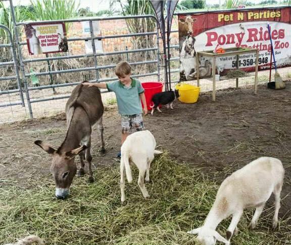 Animal EDventure Park & Safari