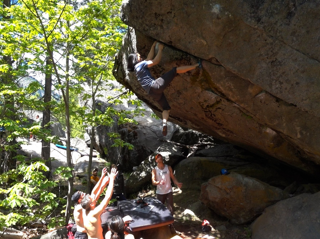 Bouldering Bus-西雅图必去景点