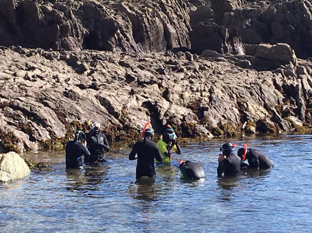 Wembury Marine Centre-Wembury必去景点